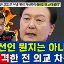 Re: &#34;반국가세력, 종전 노래 부르고&#34;‥&#34;태극기 부대 연설 수준&#34; 이미지