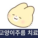 성재영이즈피부과 이미지
