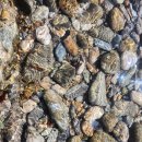 해변의 바람 이미지