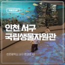 희구 | 아이부터 성인까지 키즈카페 동물원보다 좋은 인천 국립생물자원관