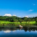 블루헤런G.C 이미지