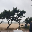 라르고 민박 네이버블로그