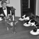 털복숭이친구들 이미지