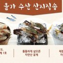 바이올가제주