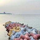 파라펜션 민박 이미지