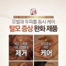 애니시스 이미지