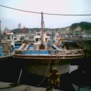 대포항