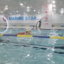마린스타스위밍 이미지