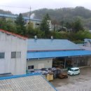 금성면 농공단지 이미지