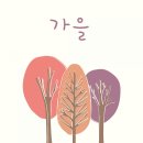 마로니에길 이미지