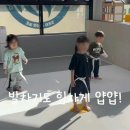 국가대표 라이언 태권도장 이미지