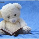 시간을 초월한 멜로디 이미지