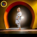 The Two Pillars of Jinyoung Ssangkum Ryu Training - English Spanish, Korean 이미지