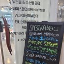 사비나뷰티