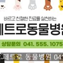페트로 동물병원 이미지