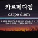 CarpeDiem(카르페디엠) 이미지