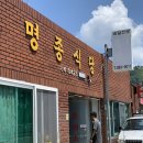 하동상회 | [경남 하동] 8월 하동 나들이 / 명종식당, 반달곰상회, 동정호