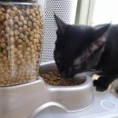 서진동물병원 이미지