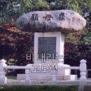 [유튜브 노래방]비 내리는 고모령 이미지