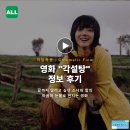 영화 각설탕 정보 후기,끝까지 달리고 싶던 소녀와 말의 마음이 눈물로 번지는 영화