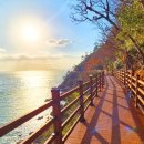 모노랜드 이미지