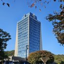 반얀트리 클럽앤스파 서울 | 반얀트리 클럽앤스파 남산뷰 가을날의 호캉스 후기