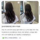 경화미용실 네이버블로그