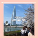 3고(GO)푸드트럭 | 서울_석촌호수 벚꽃 축제 후기 및 실시간 벚꽃 개화 현황 푸드트럭 플리마켓