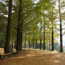 금강자연휴양림 이미지