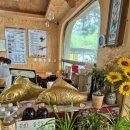 출렁다리웰빙건강쌈밥 이미지