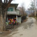 울대1리 이미지