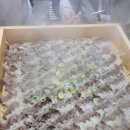 용화편백찜 | 충남 아산맛집 용화편백찜