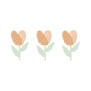 미미인터내셔널