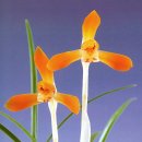 (주)금화 이미지