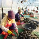 정남진 민박 이미지