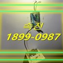 대명전업사