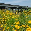 청도천6 이미지