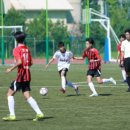 인제야구장 이미지