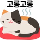 여우노래광장 이미지