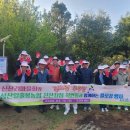 신산 이미지