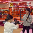 강철복싱 이미지