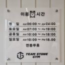 팀스톤