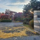 장촌공원 이미지