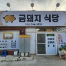 돼지식당 네이버블로그