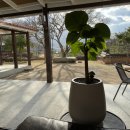 썬바이오 이미지