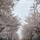 GS합정패밀리점 네이버블로그