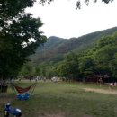 치악신림오토캠핑장 이미지