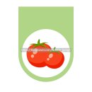 토마토유치원 이미지