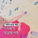 남부유통 | 스리랑카 여행 후기 남부 탕갈레 자유여행 : 바다 수영 거북이 방생 체험