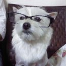 사당시장 이미지